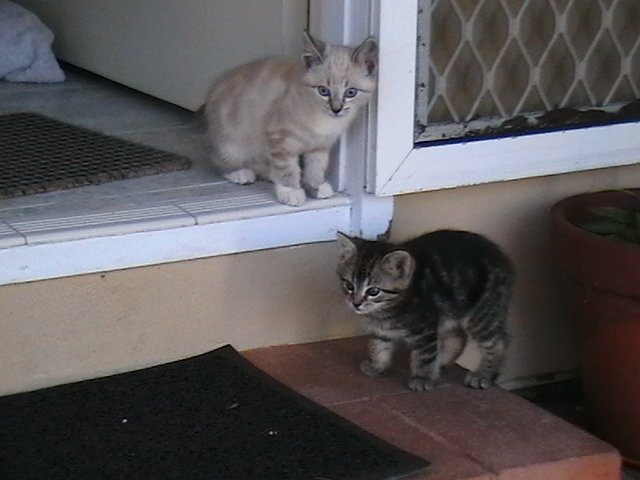 Cindy Timeline 2 Photo