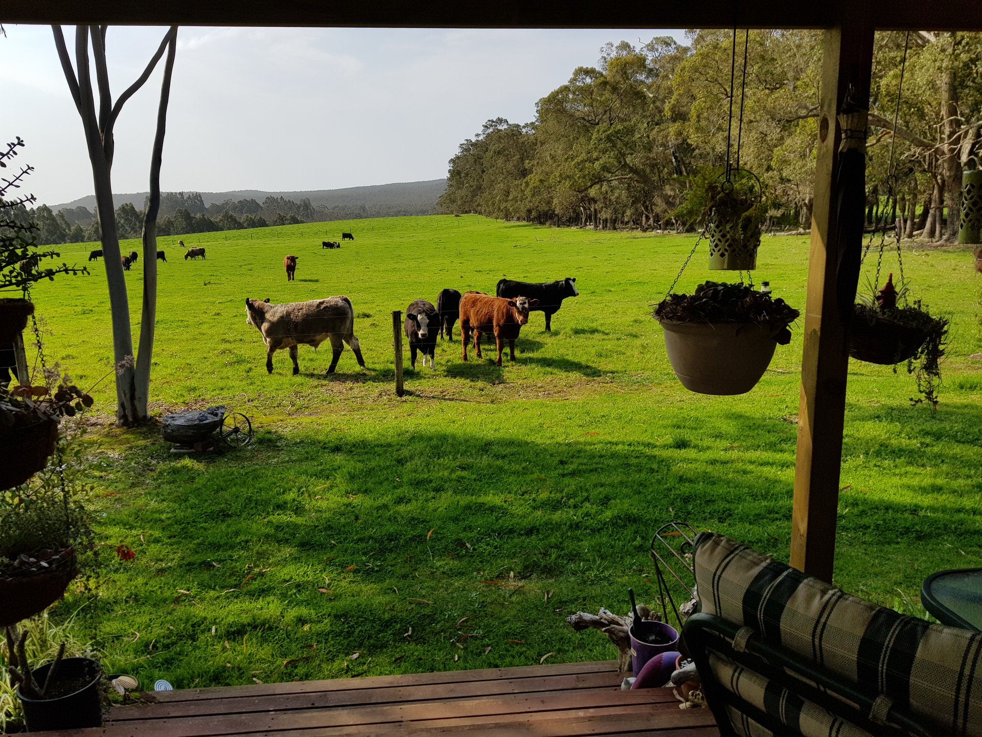 Phillip King Tribute 8 Image by Shaun & Arlene