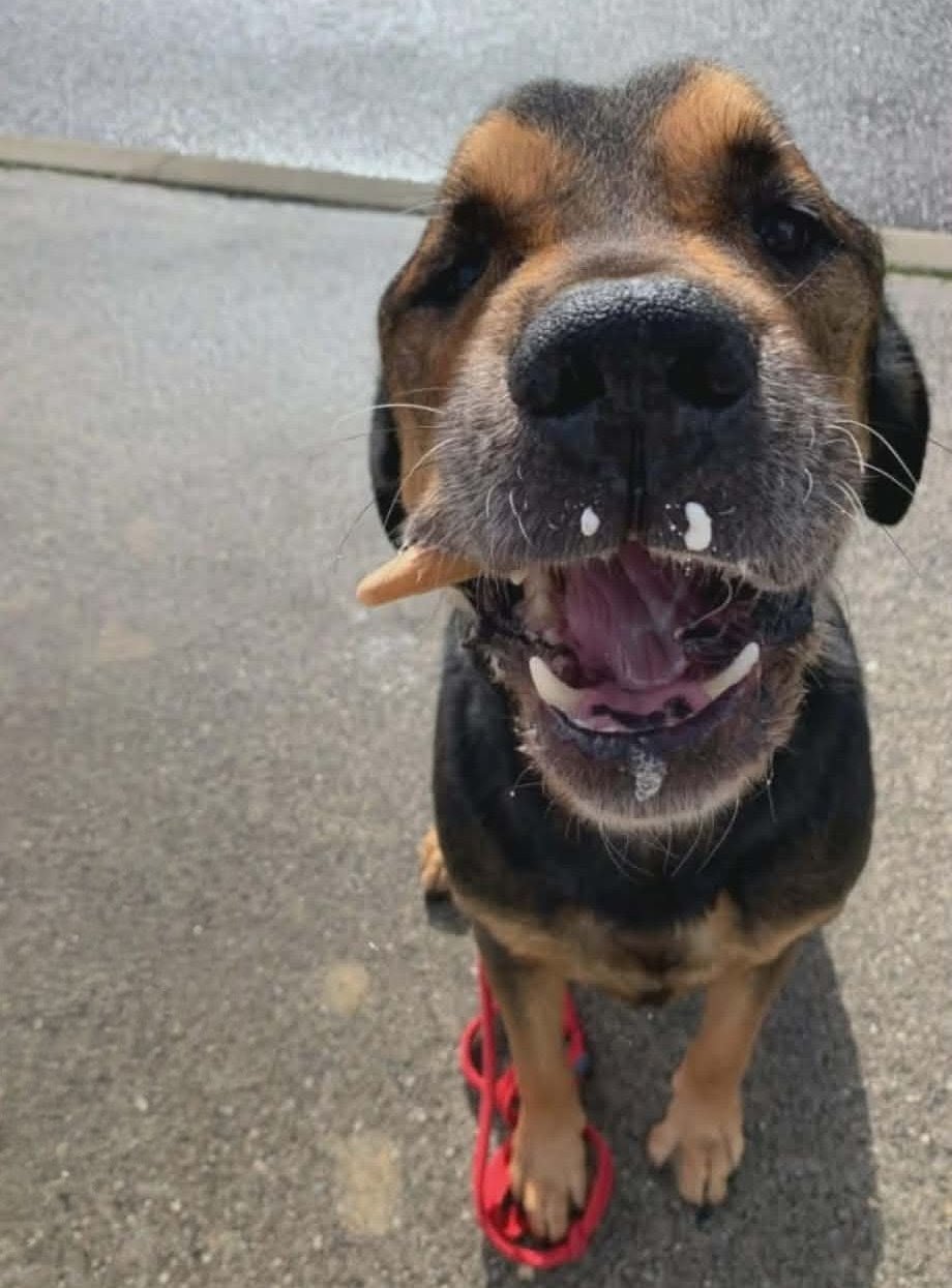 Theo  Memorial Photo