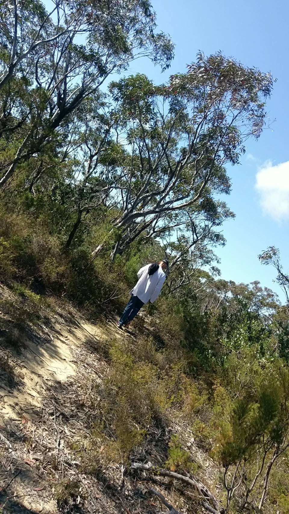 Gregory Murray Pickworth Tribute 3 Image by Connie