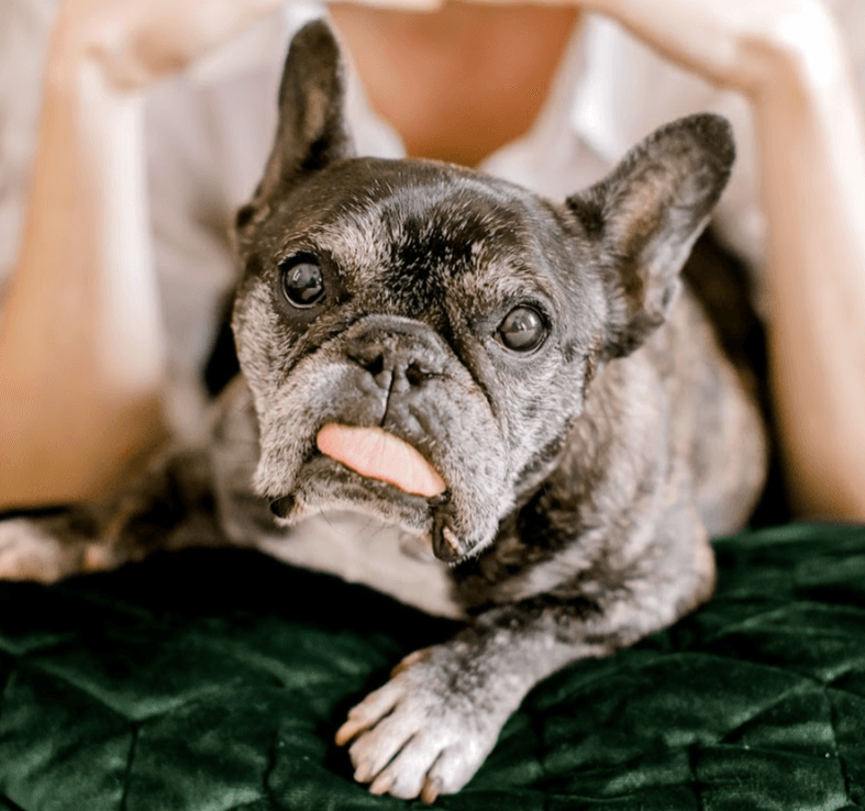 Skeeter  Memorial Photo