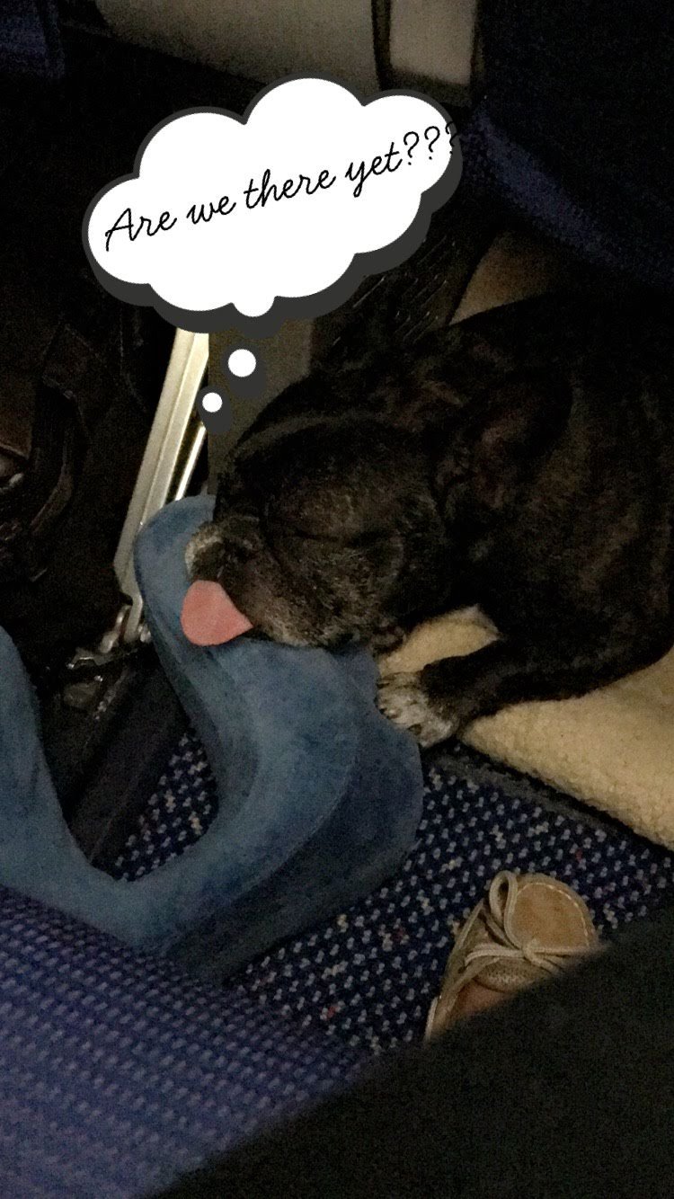 Skeeter  Timeline 9 Photo