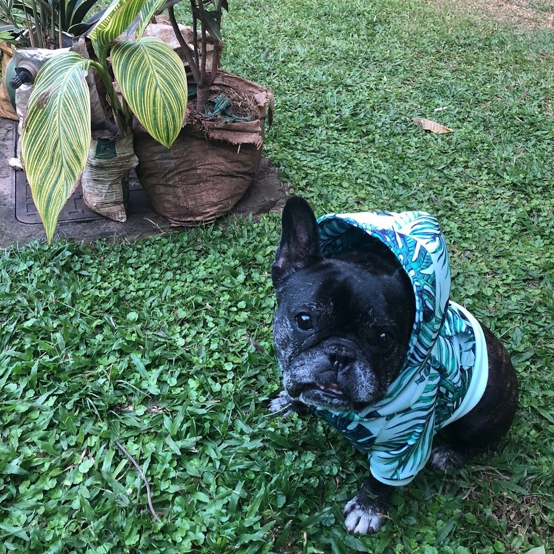 Skeeter  Timeline 11 Photo