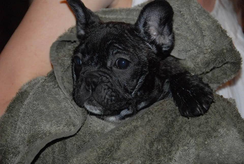 Skeeter  Timeline 1 Photo