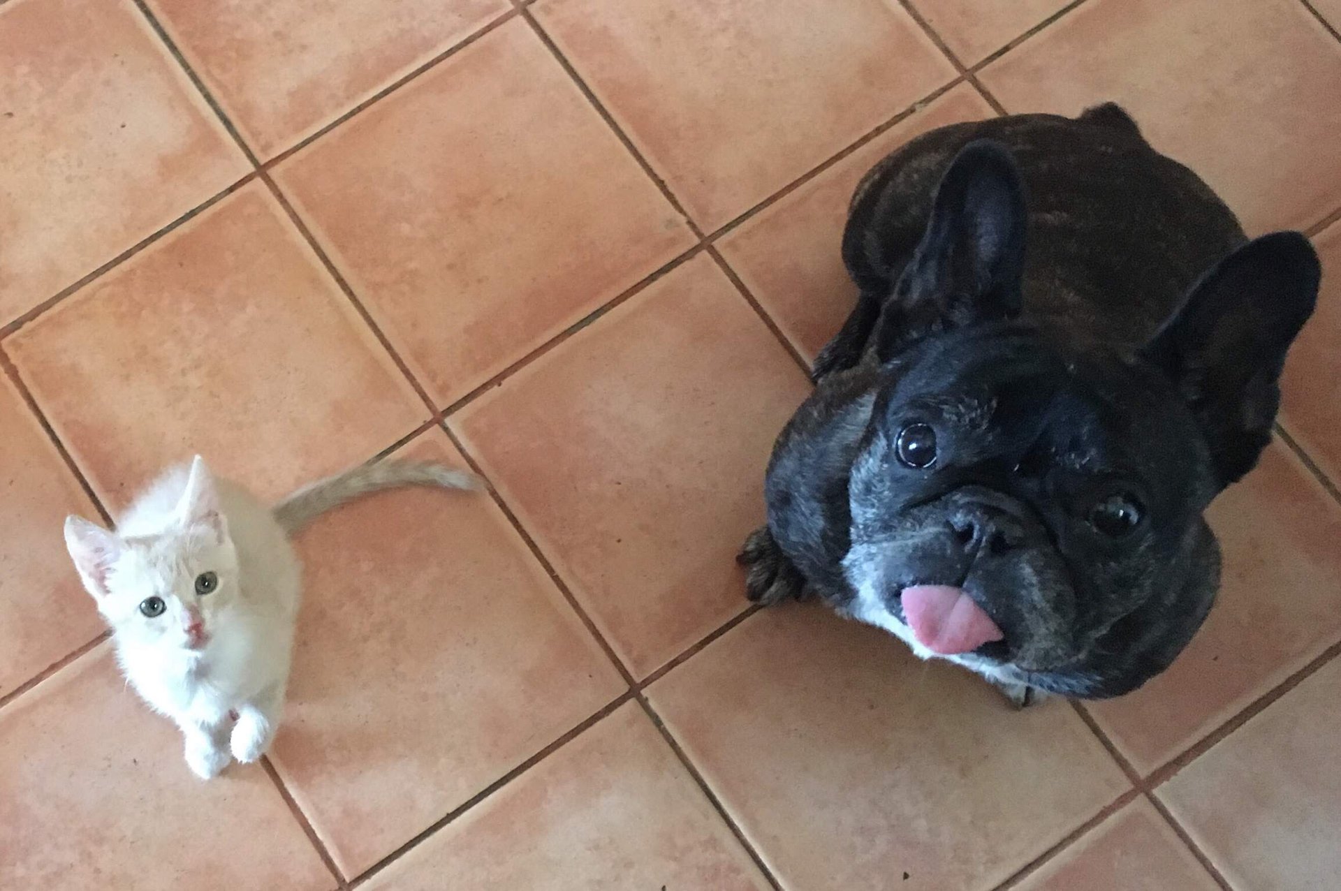 Skeeter  Timeline 12 Photo