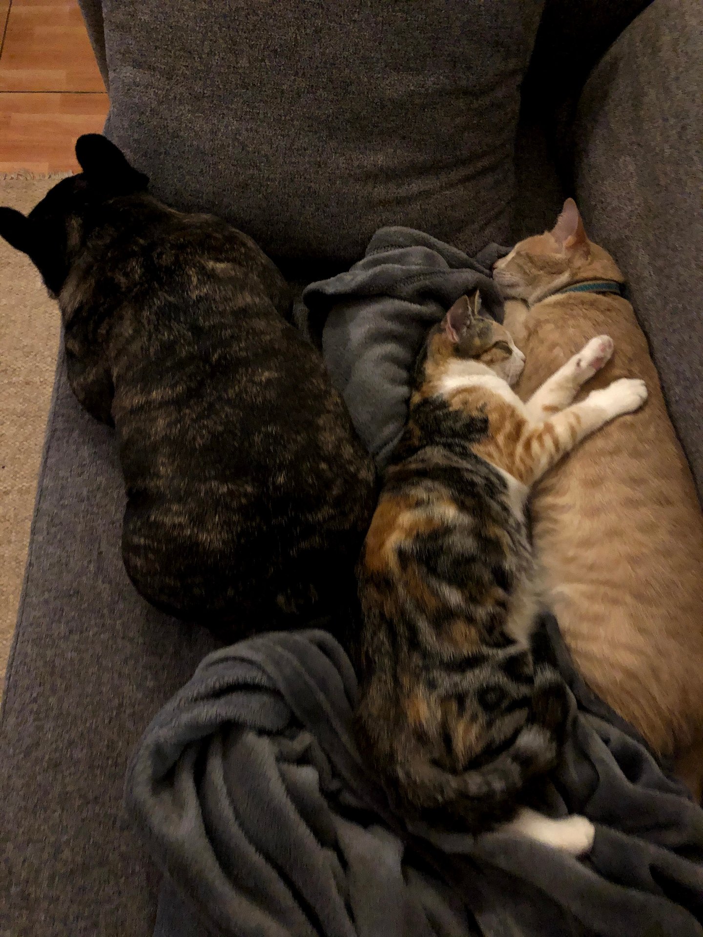 Skeeter  Timeline 16 Photo