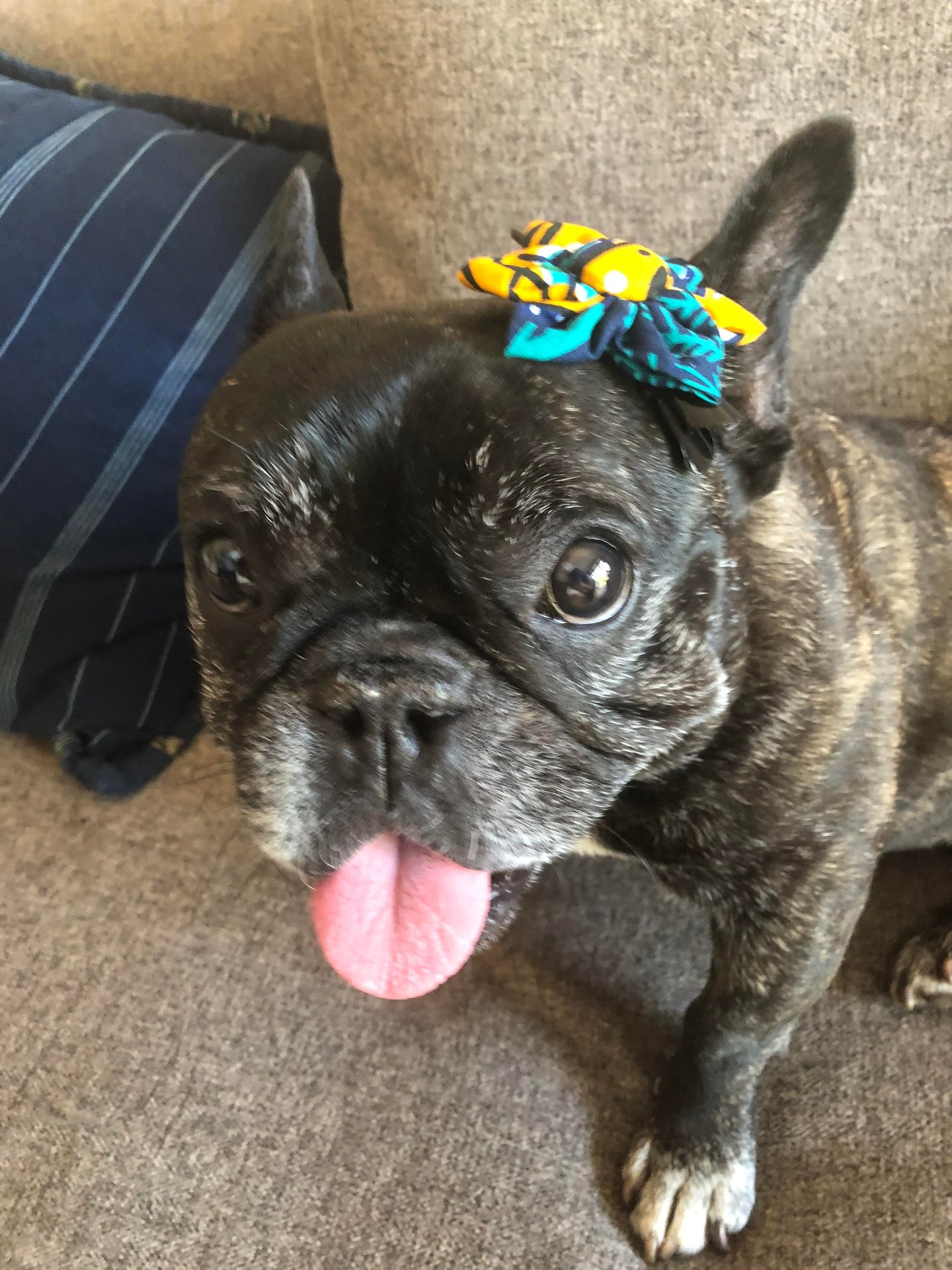 Skeeter  Timeline 13 Photo