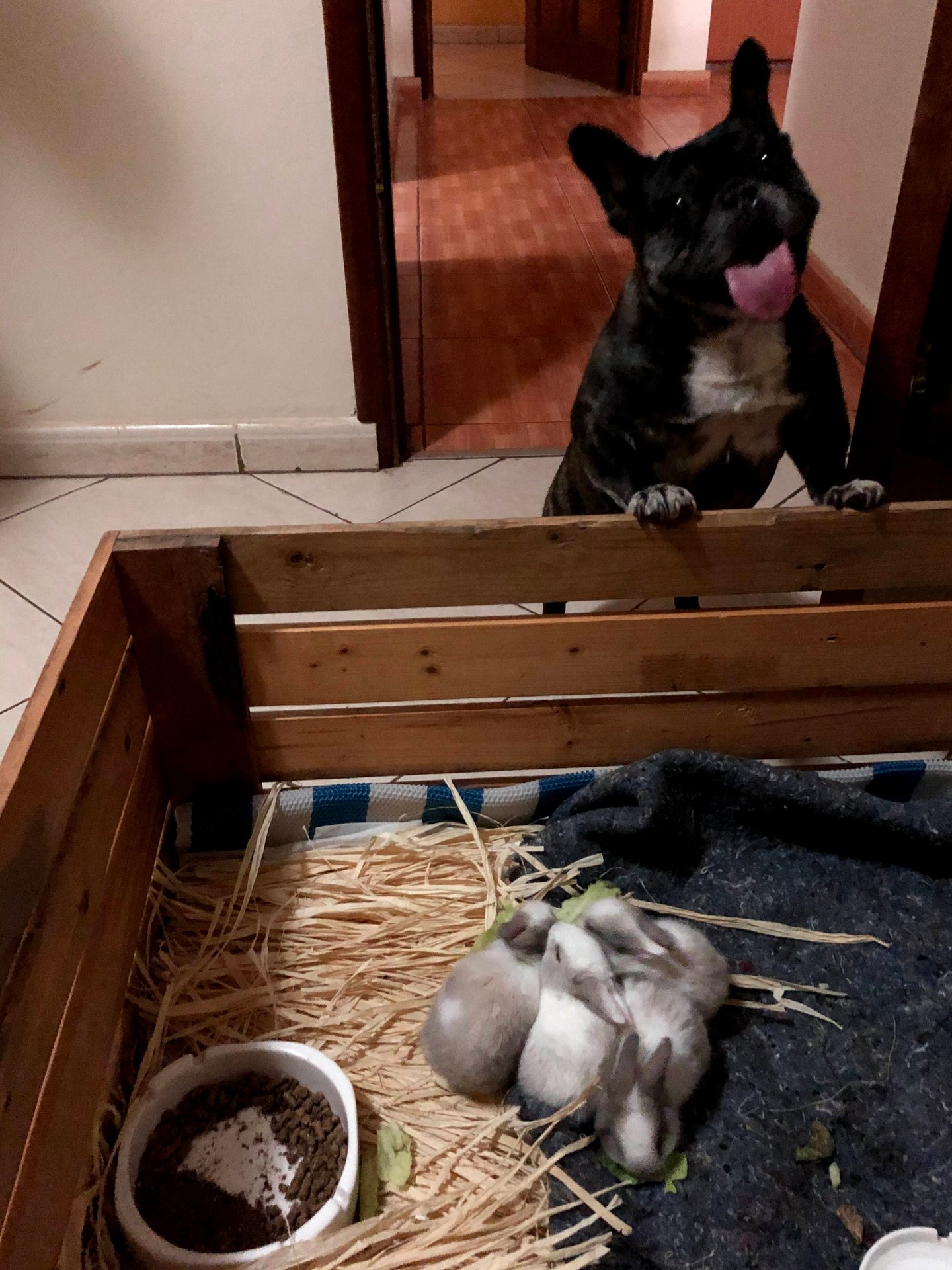 Skeeter  Timeline 14 Photo