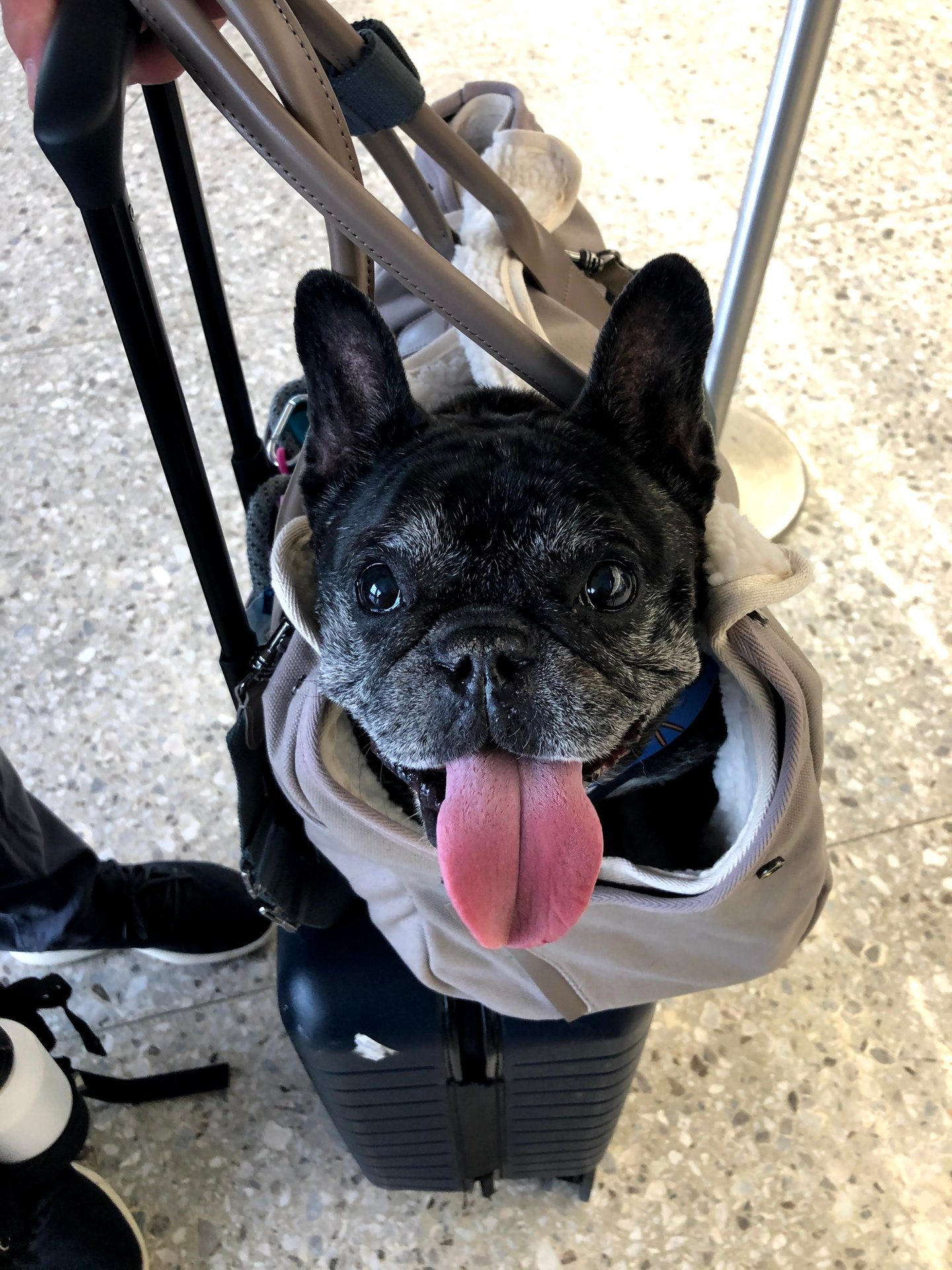 Skeeter  Timeline 18 Photo