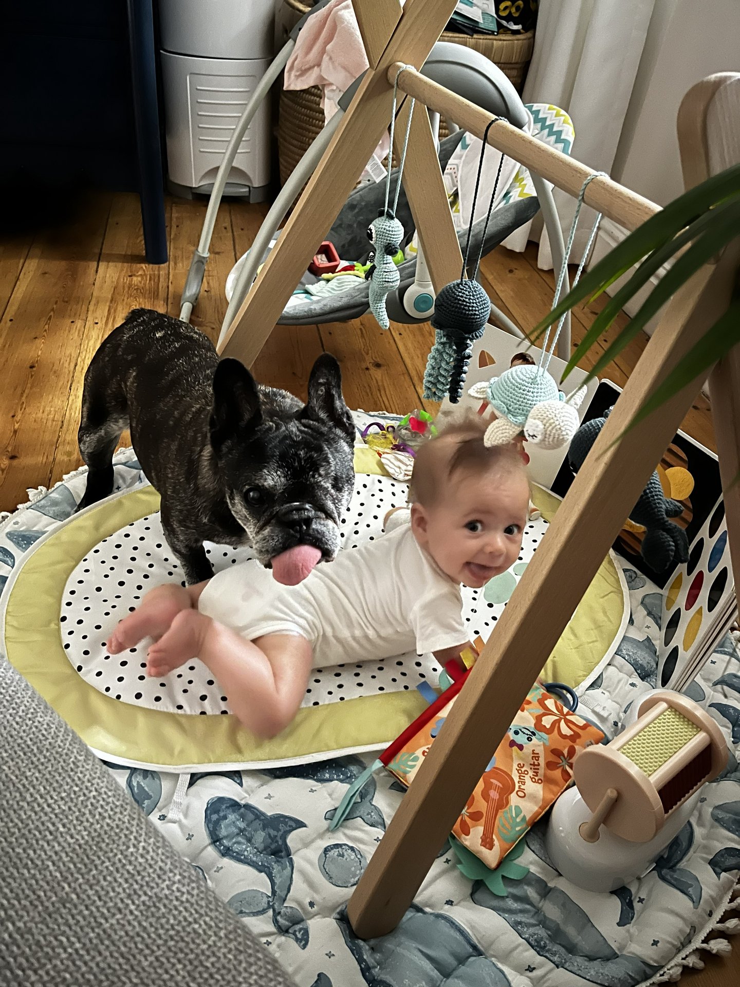 Skeeter  Timeline 26 Photo