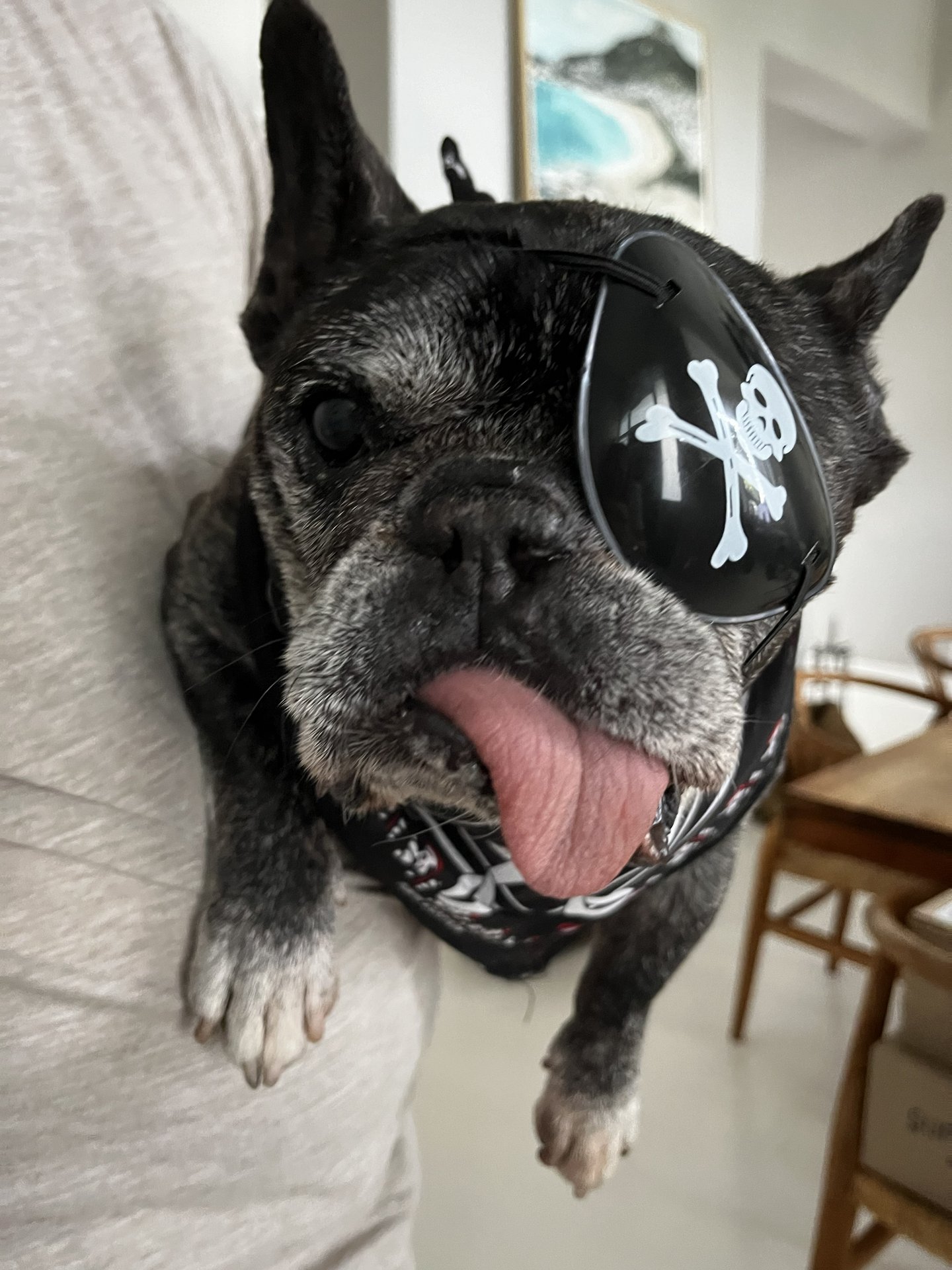 Skeeter  Timeline 22 Photo