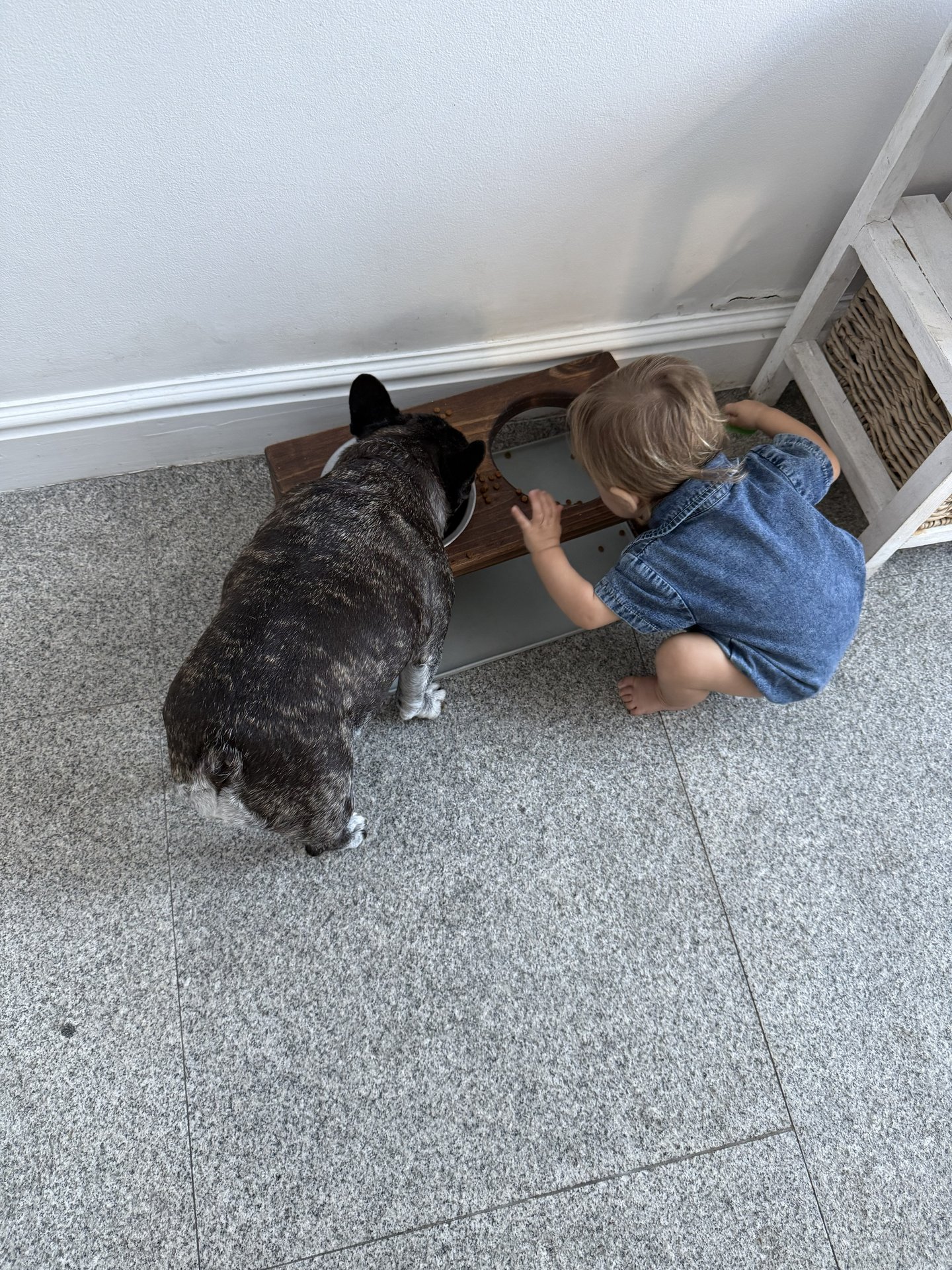 Skeeter  Timeline 27 Photo