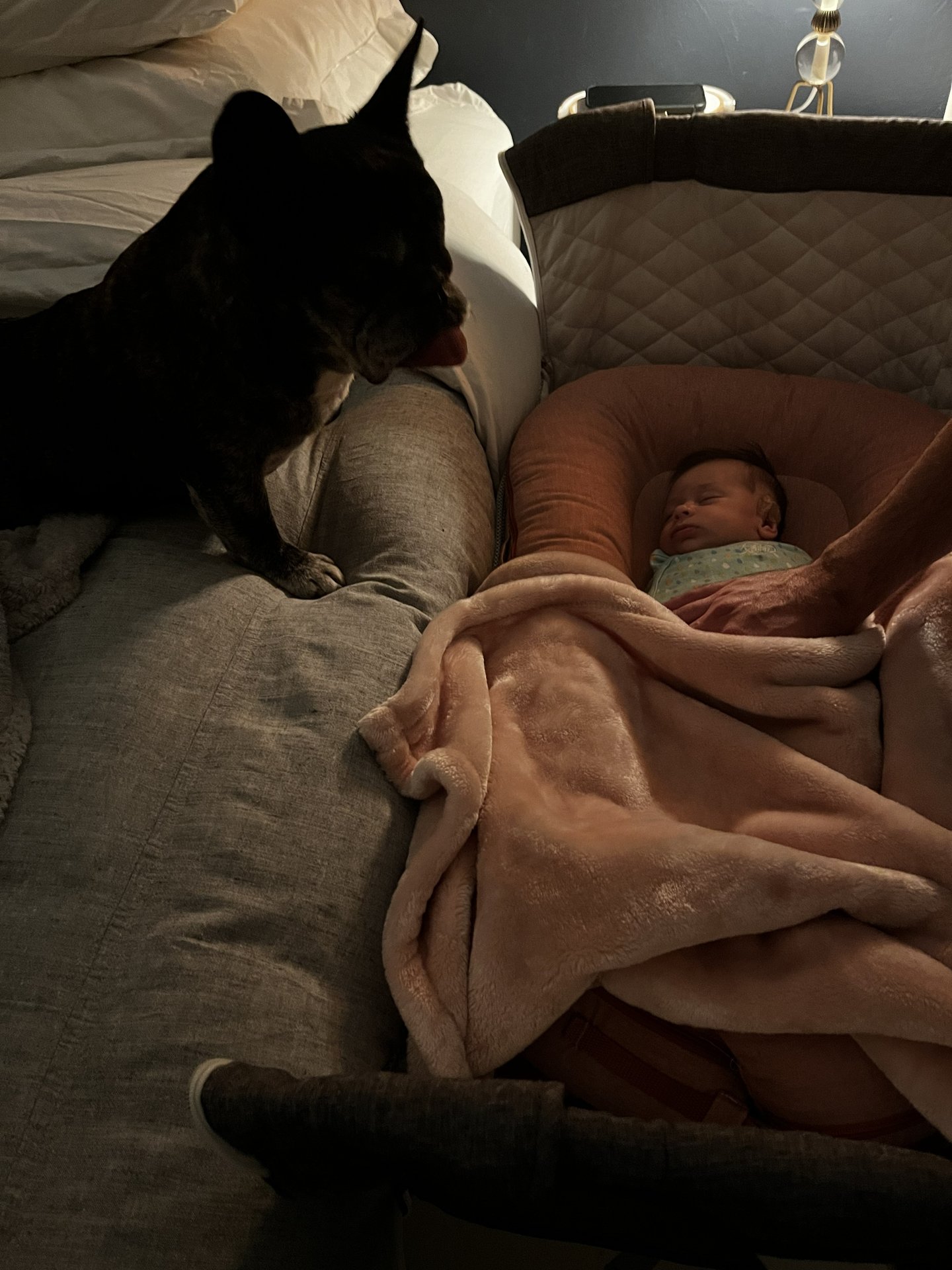 Skeeter  Timeline 25 Photo