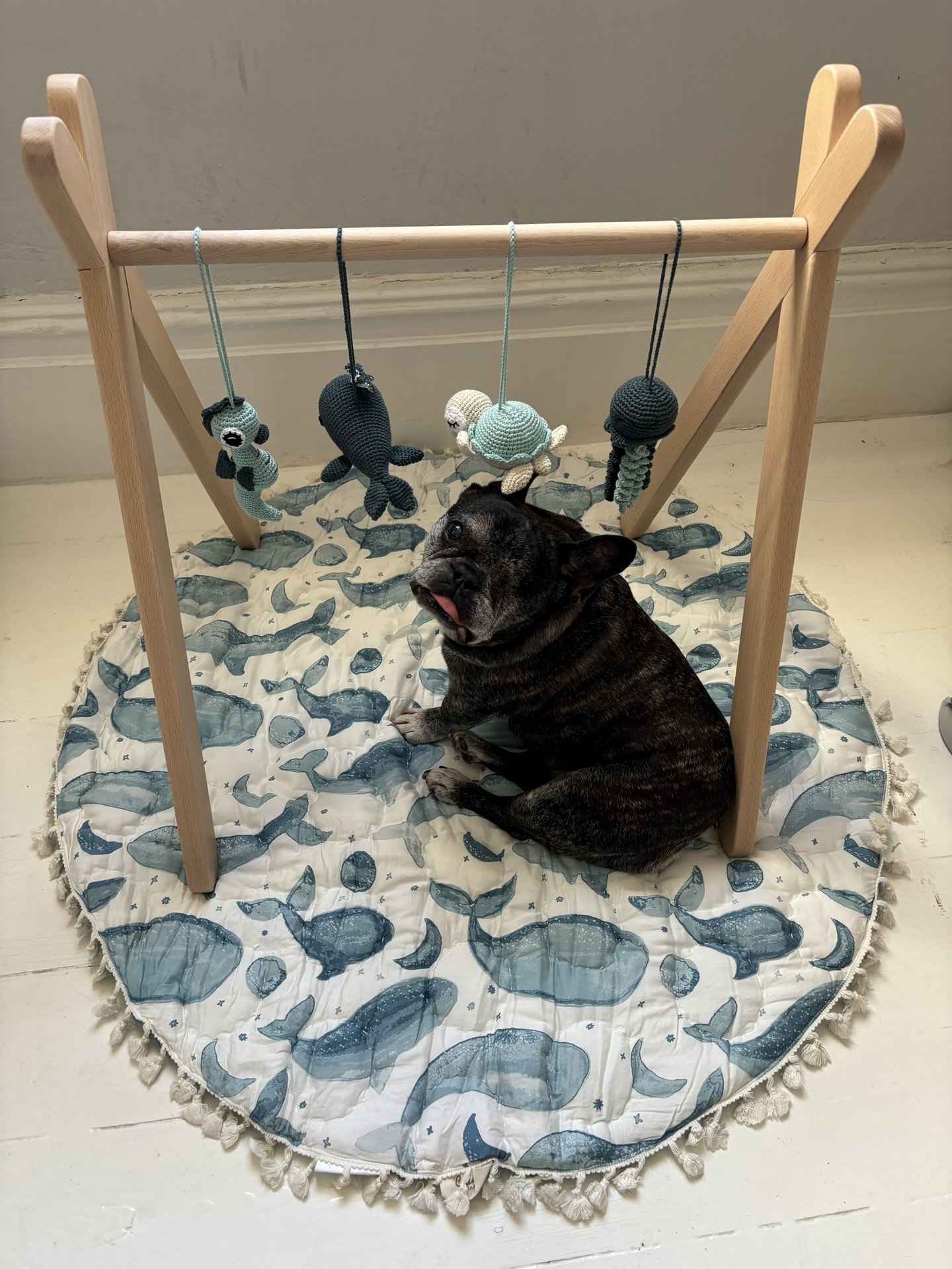 Skeeter  Timeline 24 Photo