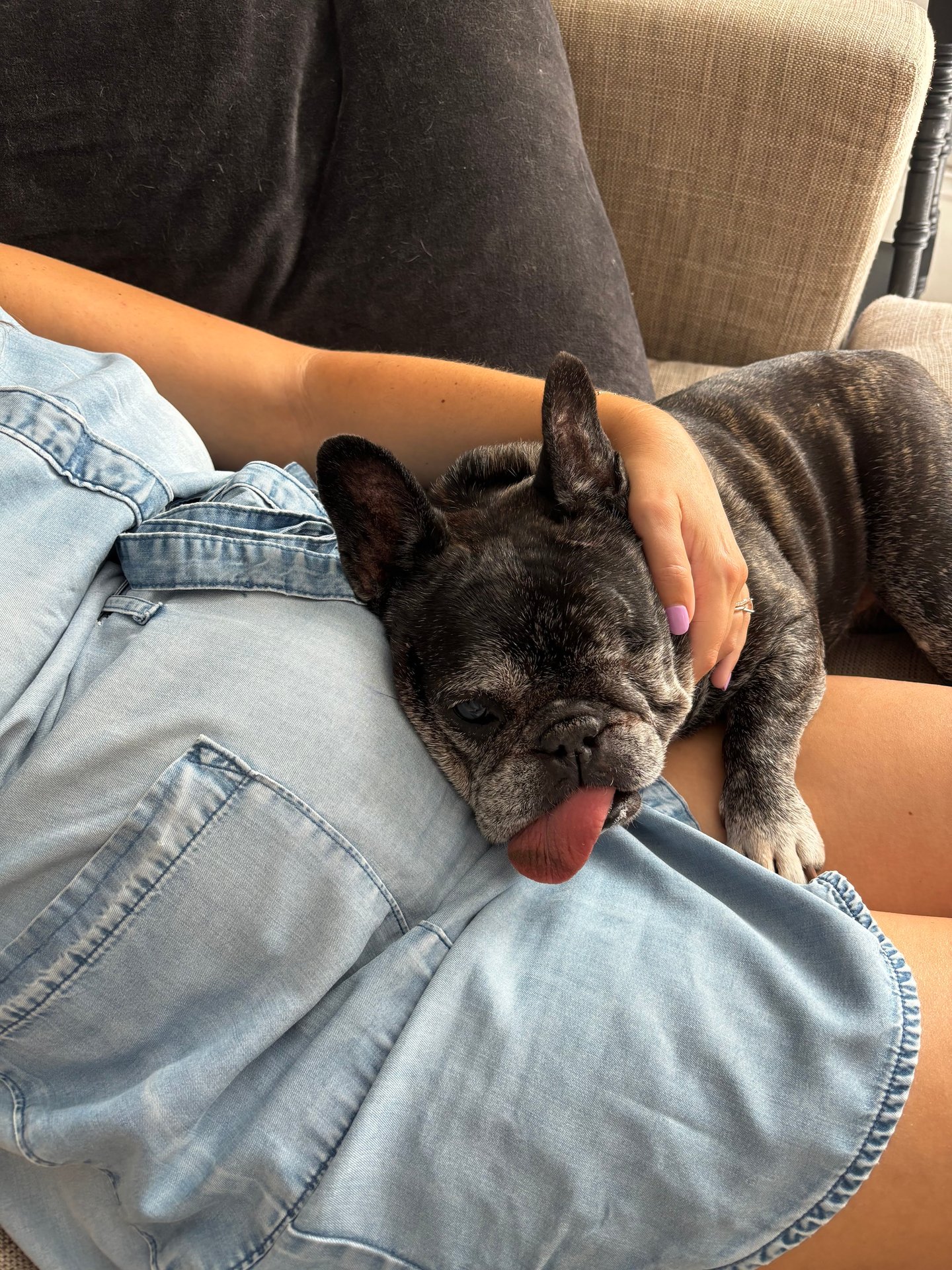 Skeeter  Timeline 23 Photo