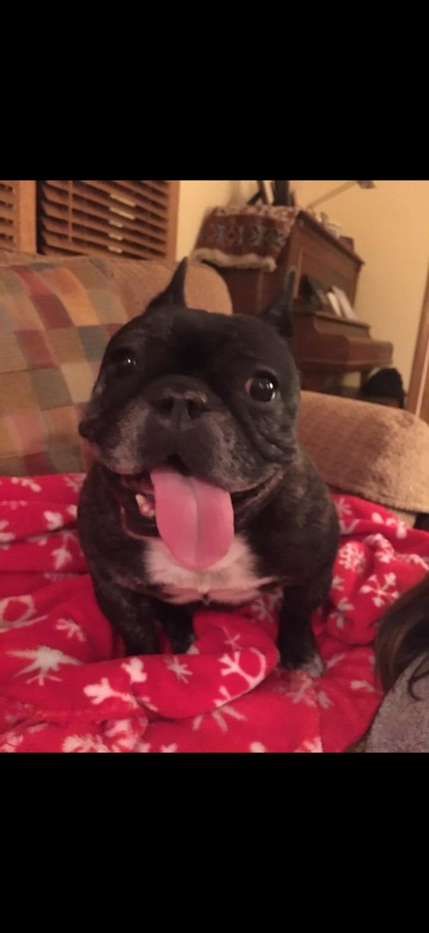 Skeeter  Tribute 7 Image by Jessica