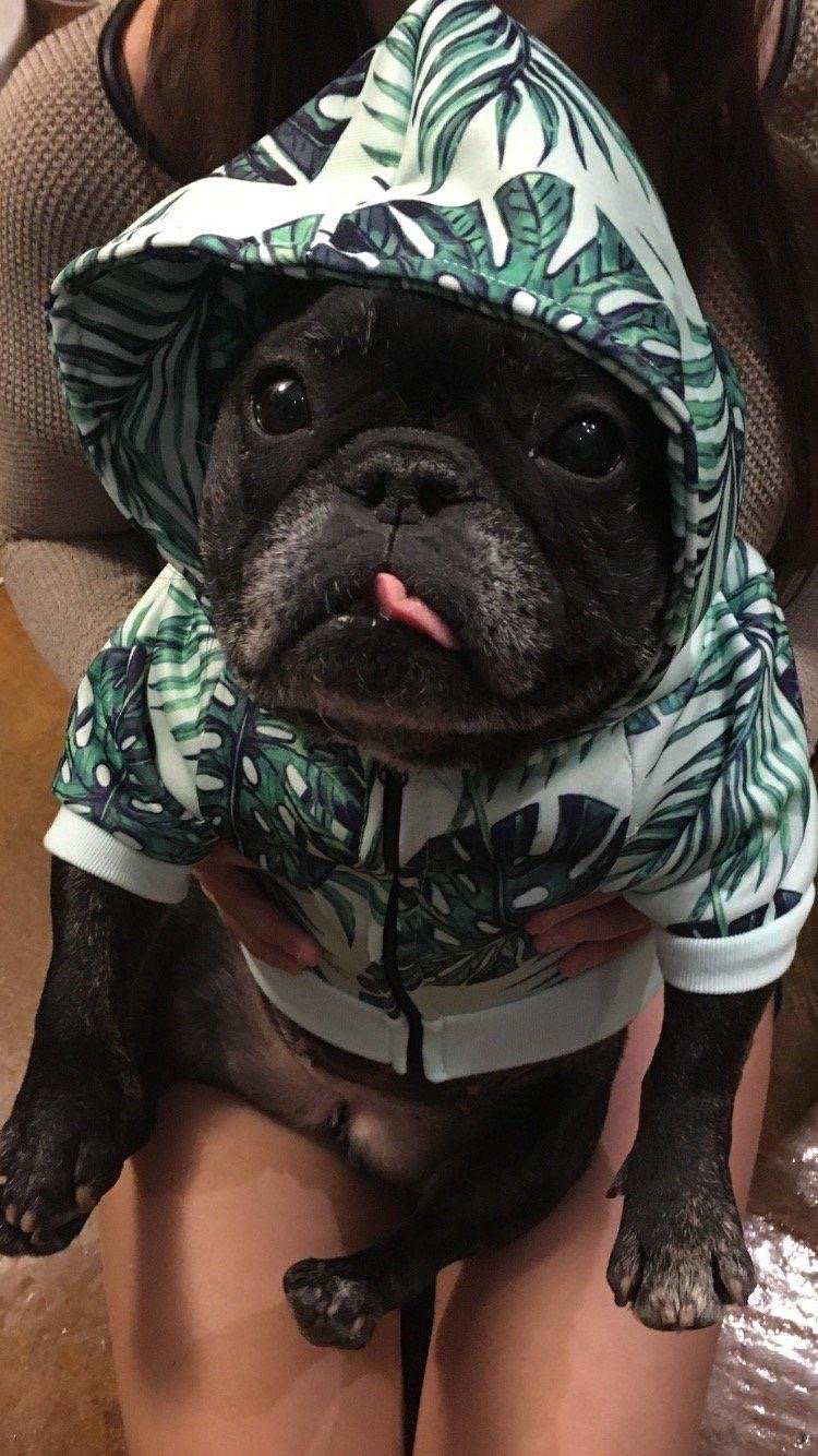 Skeeter  Tribute 3 Image by Poppi and Bubbe