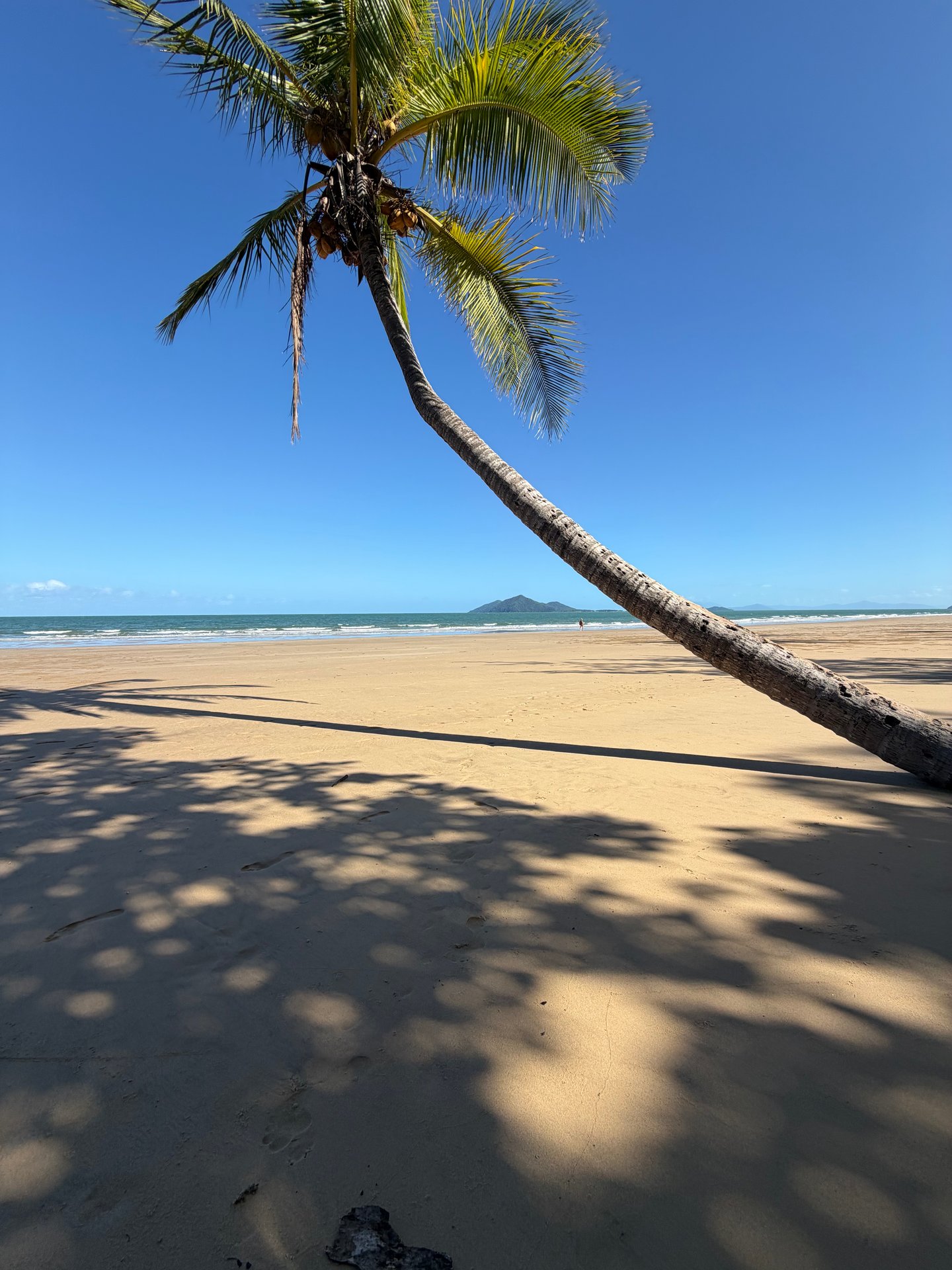 Shaun Penna Timeline 19 Photo