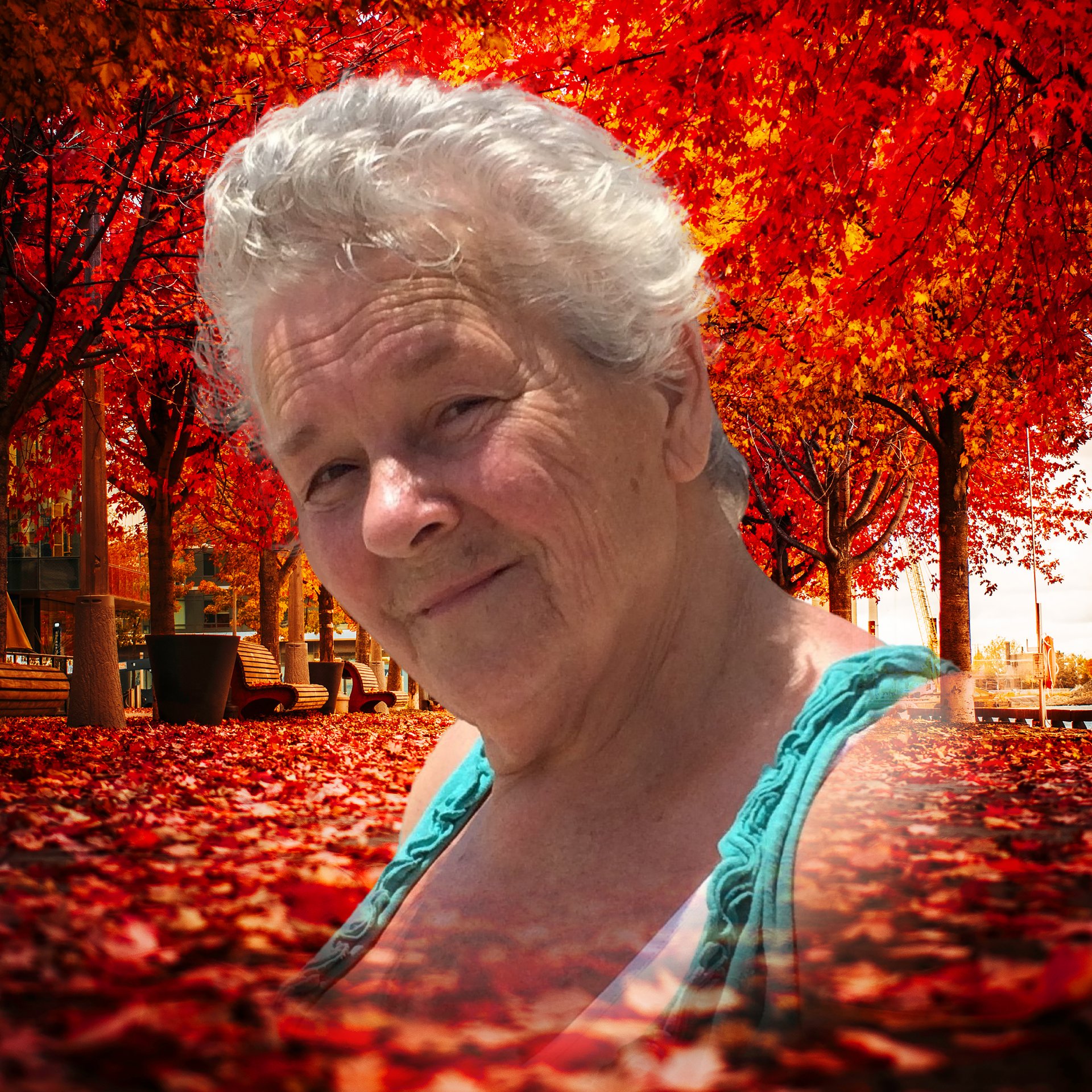 Christine Lynette Houghton Funeral Notice Photo