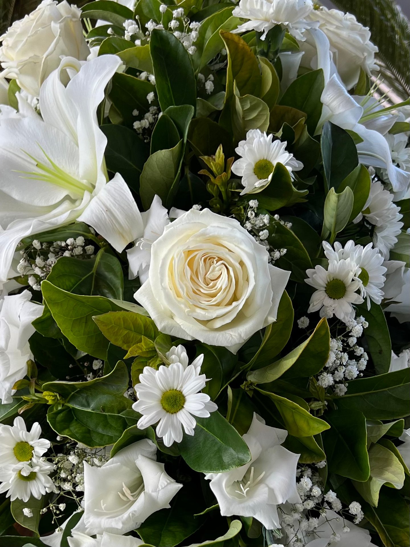 Maria Giovanna "Gina" Napoli Funeral Notice Photo